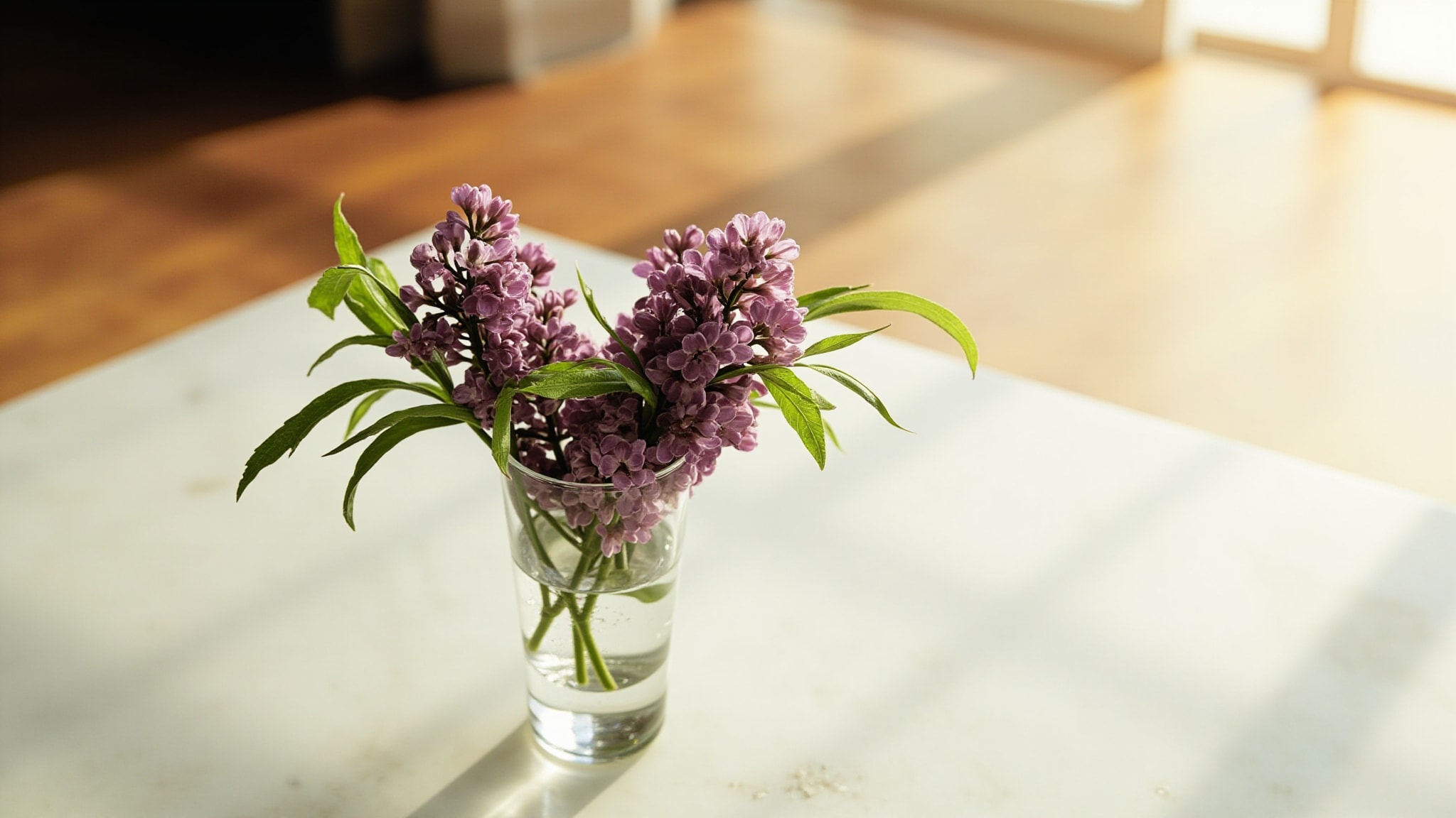 Majestic Lilas by Zara. Atmospheric mood
