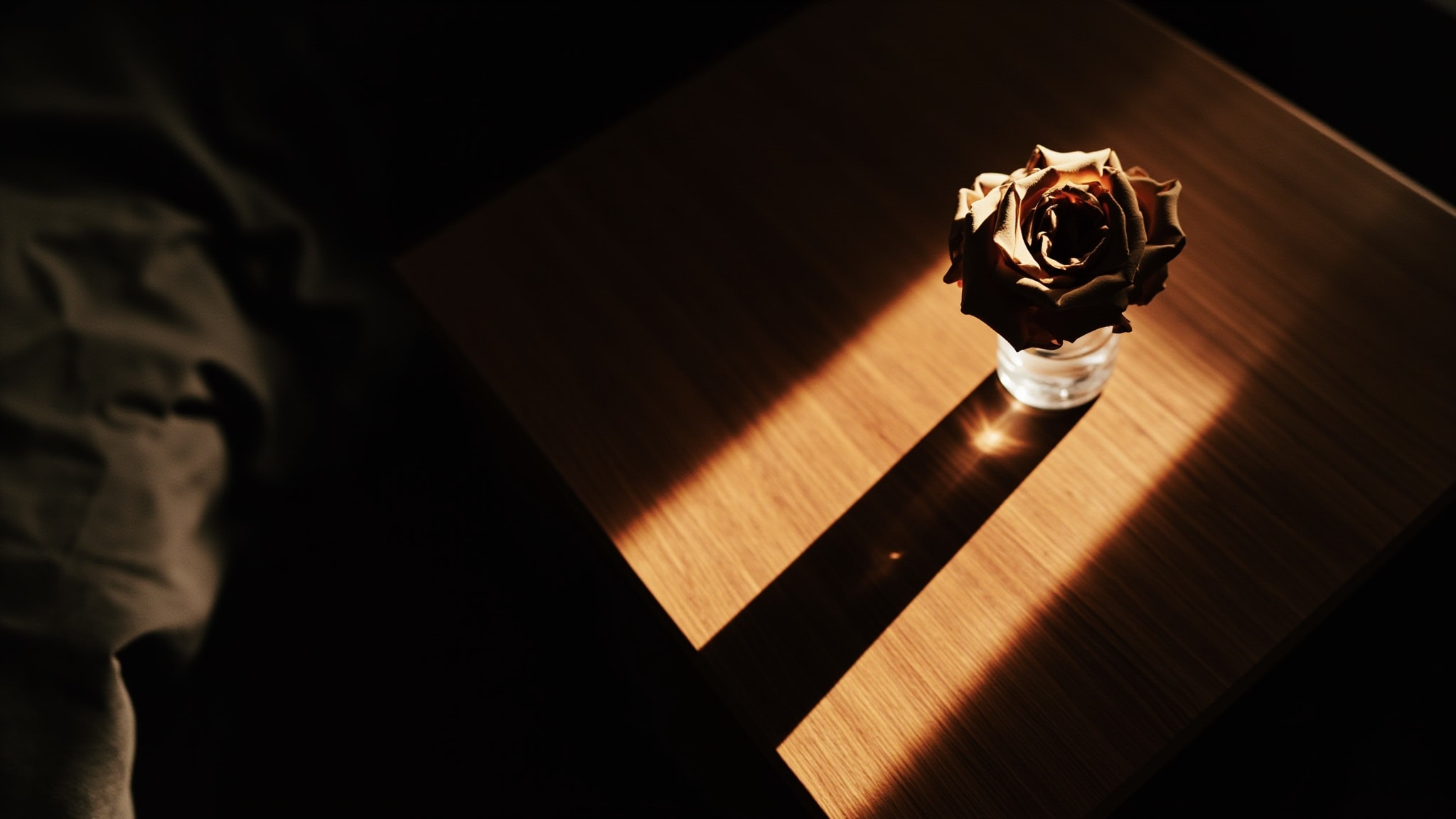 Zara Night Eau de Parfum by Zara. Atmospheric mood